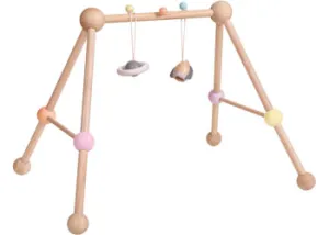 Plan Toys Play Gym