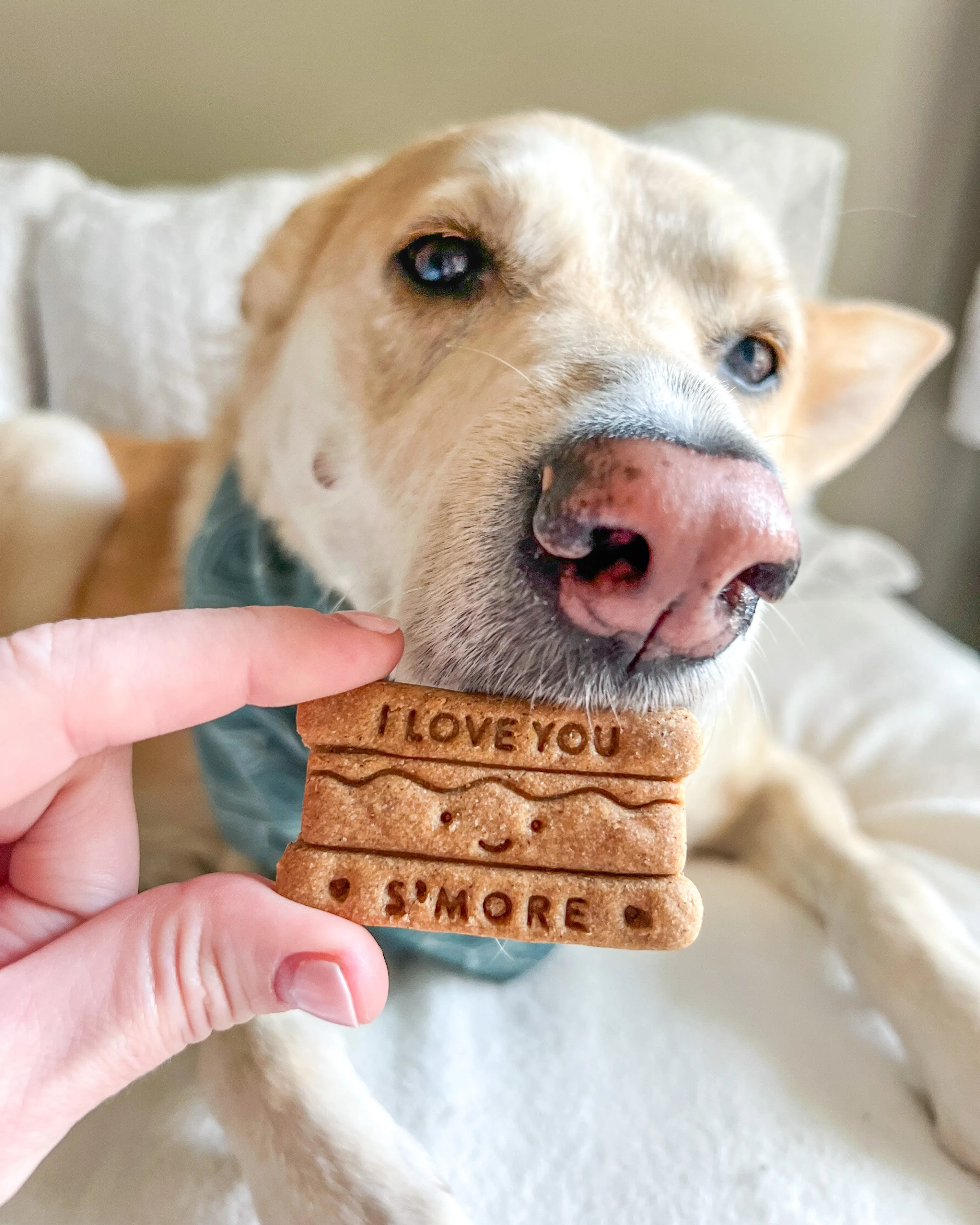 "I Love You Smores" Campfire Smores Shaped Cookie Cutter