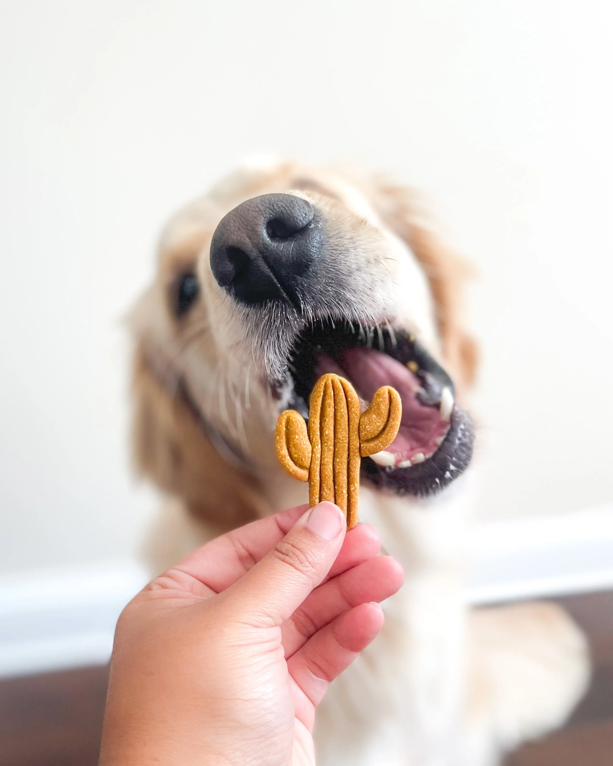 Saguaro Cactus Shaped Cookie Cutter