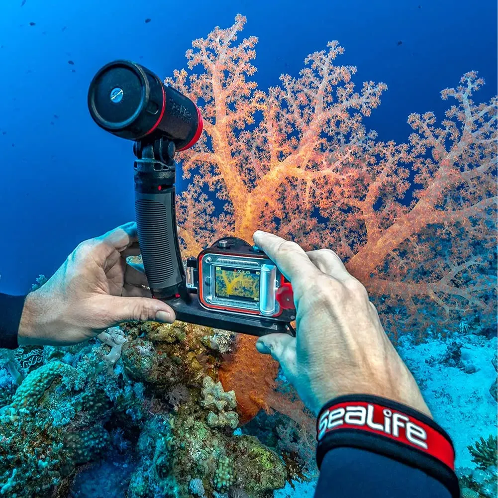 SeaLife ReefMaster RM-4K Underwater Action Camera with 4K Video and 14mp Still Images, Underwater Scene Modes, Wide Angle Lens, Waterproof to 40M/130’