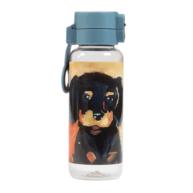 Spencil Water Bottle 650ml - Shadow