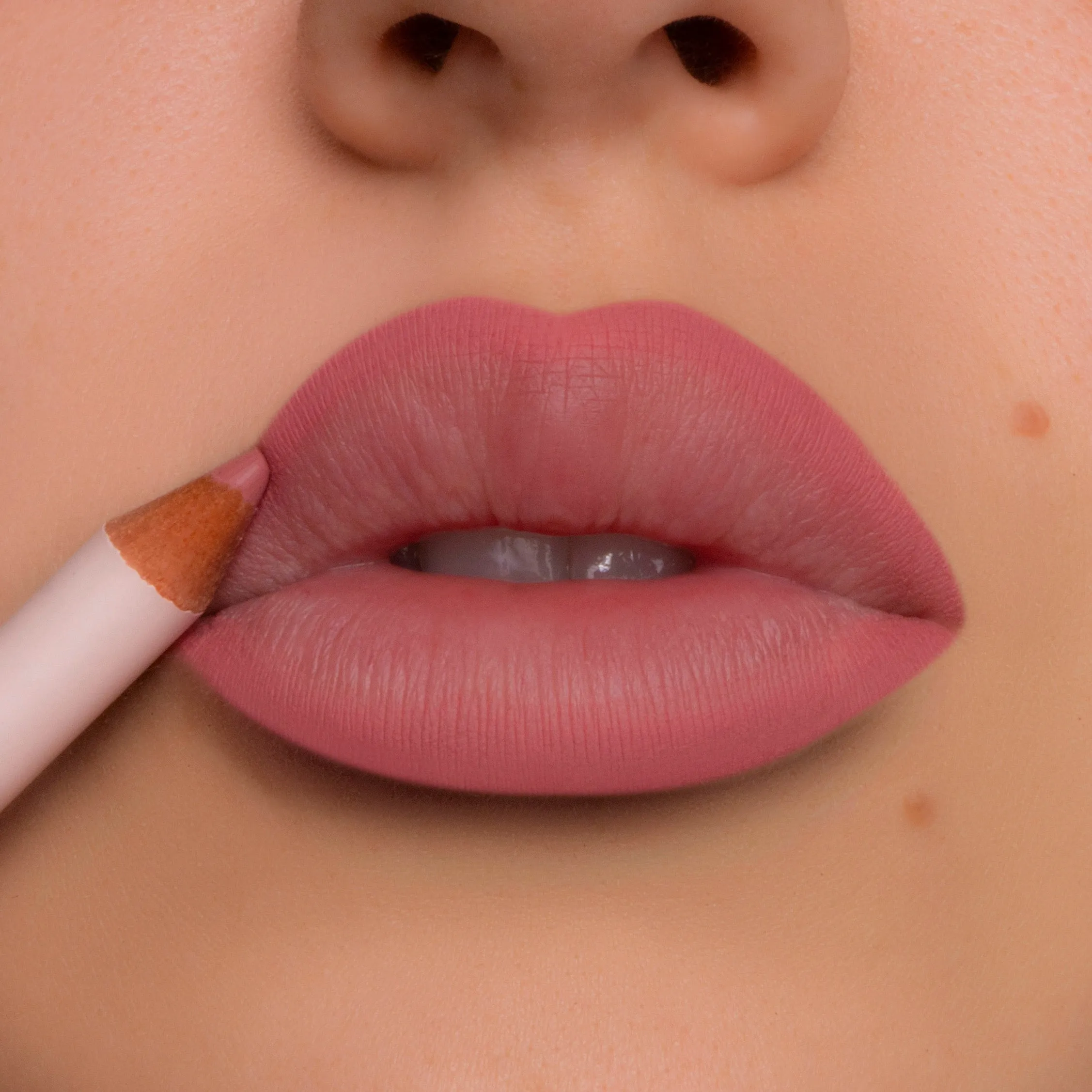 SPRING ROSE   PINK MAGNOLIA Lip Liner Duo