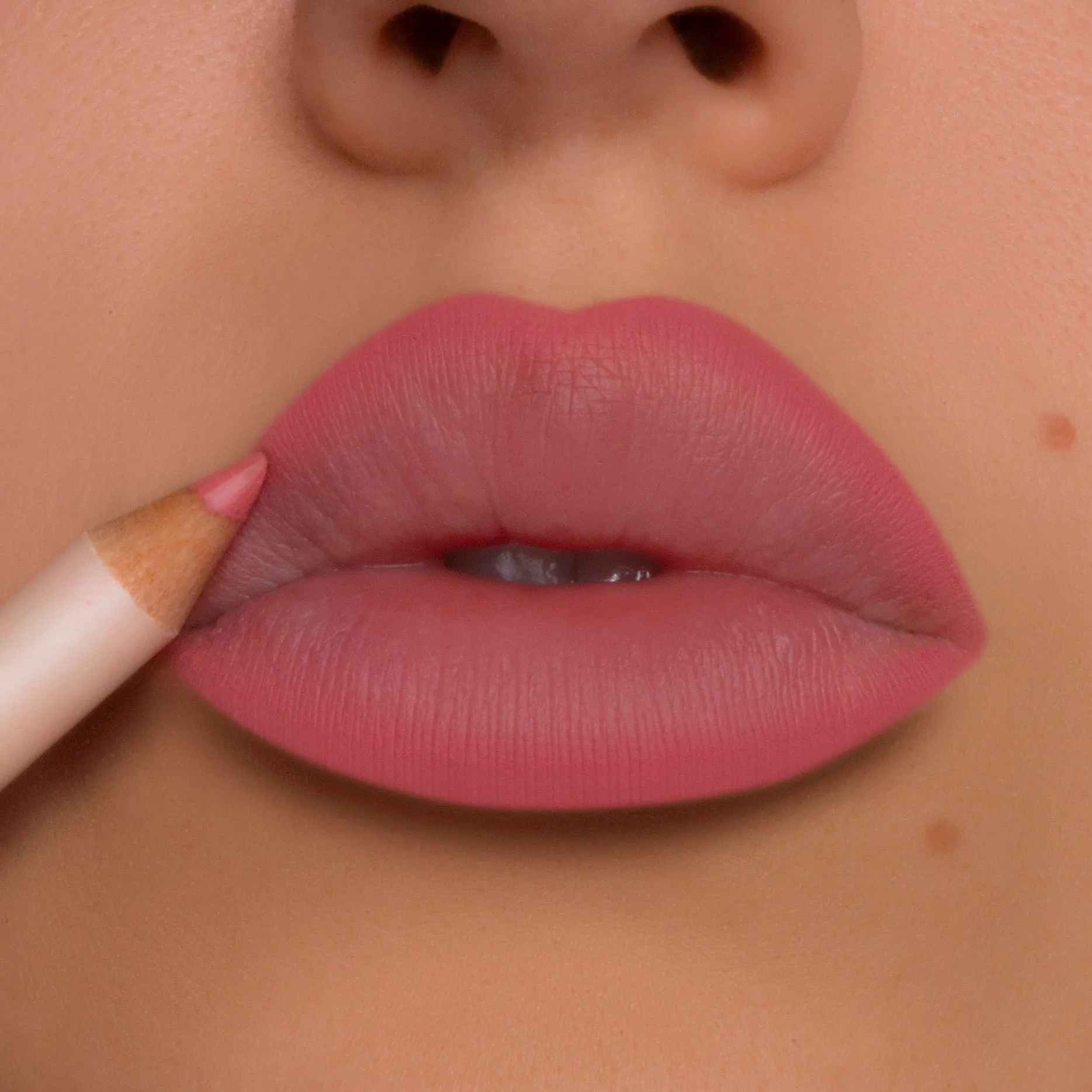 SPRING ROSE   PINK MAGNOLIA Lip Liner Duo
