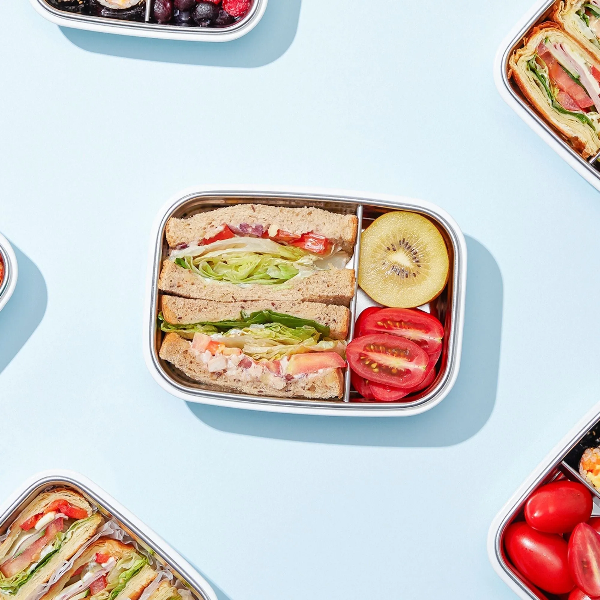 Stainless Divided Lunchbox / 19 oz