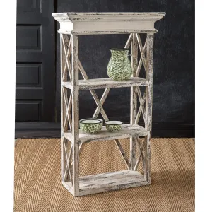 Three-Tier Storage Shelf