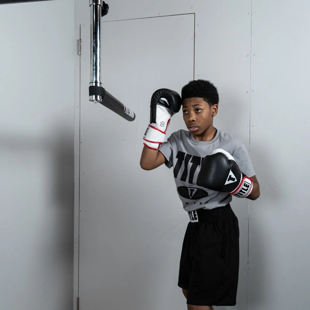 TITLE Boxing Rapid-Reflex Bar