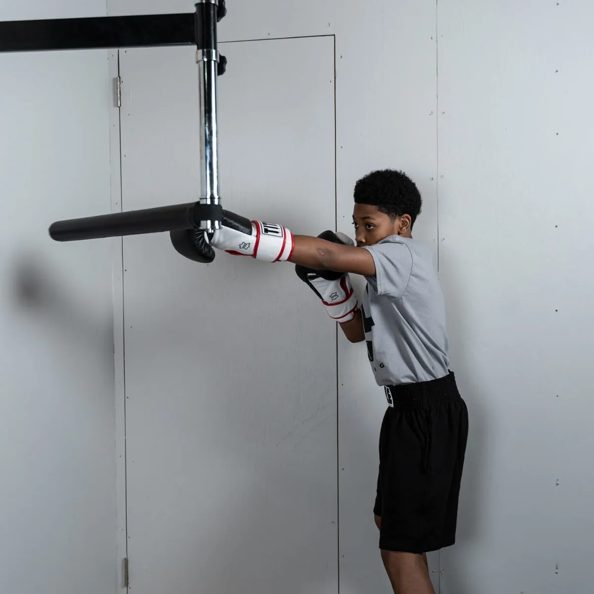 TITLE Boxing Rapid-Reflex Bar