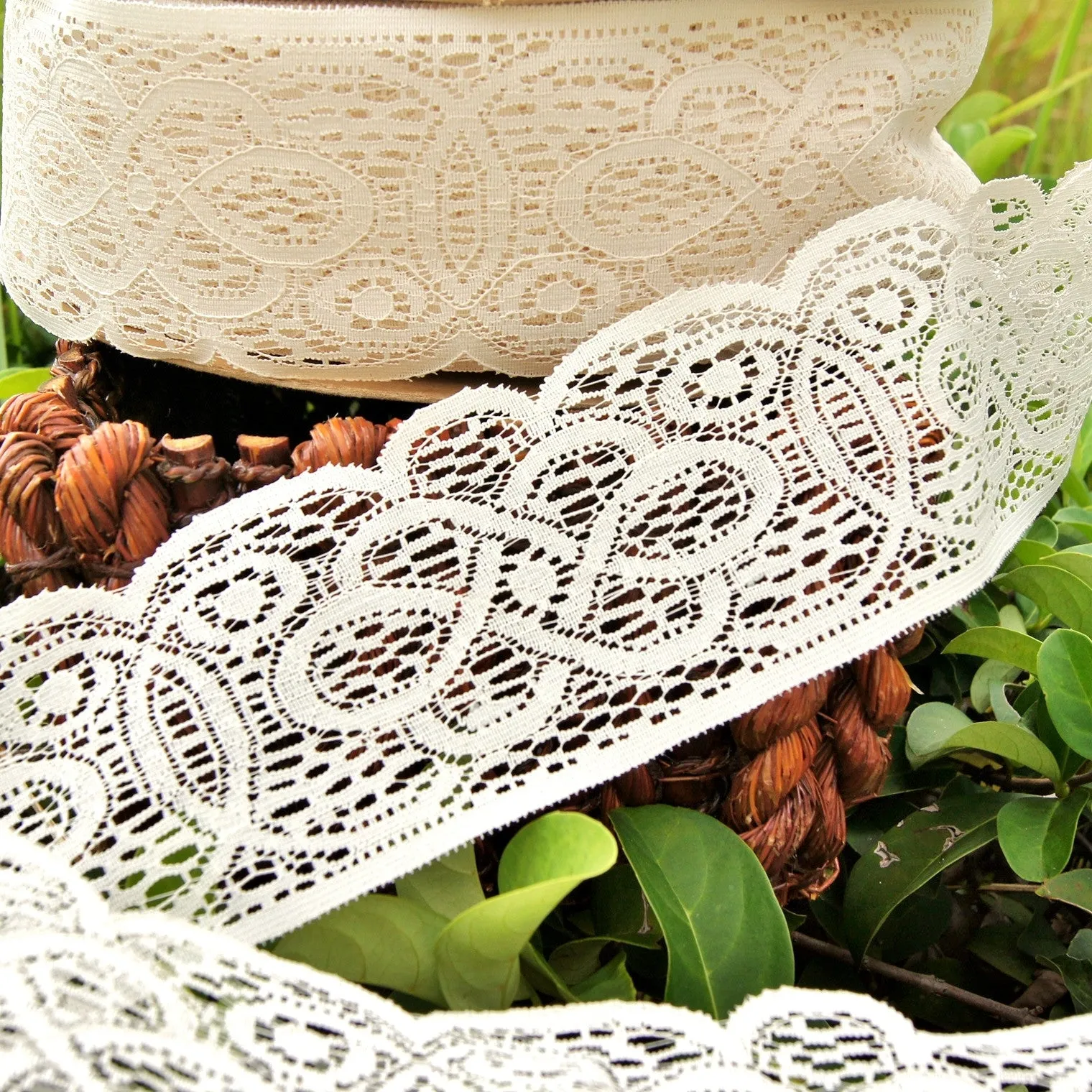 Vintage Dark Ivory Stiff Wide Scalloped Lace 3½" wide